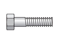 Inch Standard Series BCP Hex Head Bolt for Cover Plate